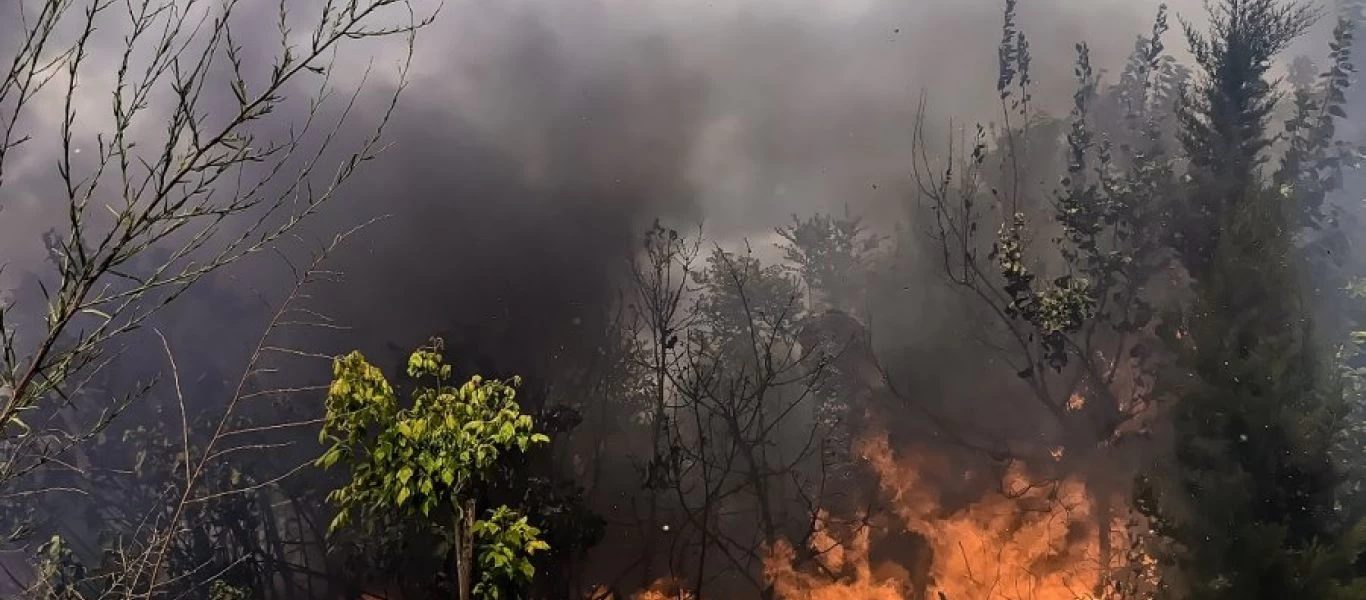 Υπό έλεγχο η φωτιά στην Ίο